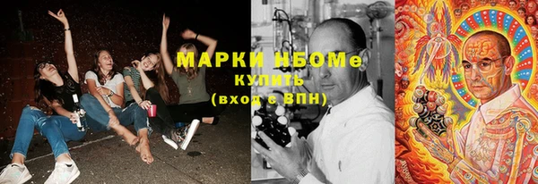 гашик Сатка