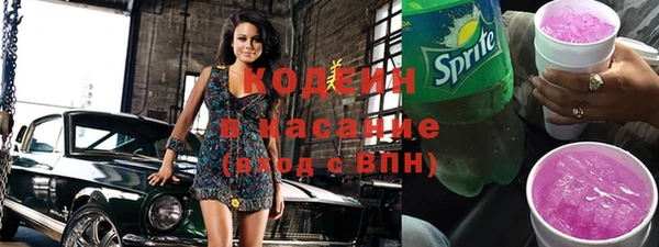 гашик Сатка
