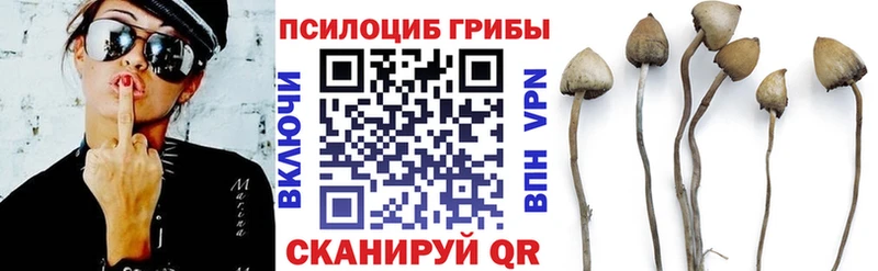 Псилоцибиновые грибы прущие грибы  Навашино 